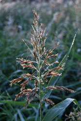 Similar image 21858468