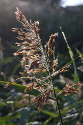 Similar image 21858469