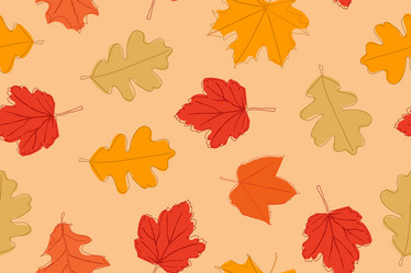 Similar image 21866154