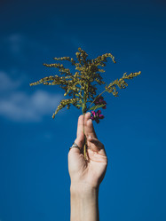 Similar image 21857478