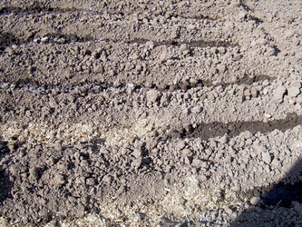 Similar image 21873047