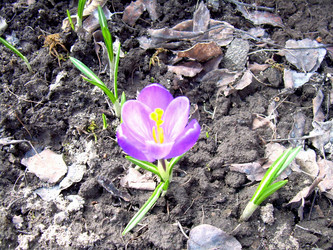 Similar image 21873048