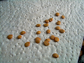 Similar image 21873049