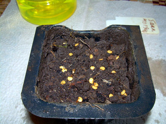 Similar image 21873050