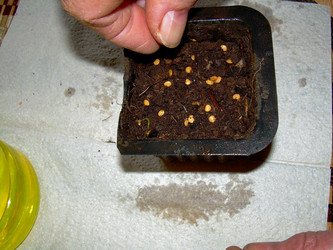 Similar image 21873051