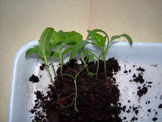 Similar image 21873053