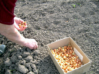 Similar image 21873055