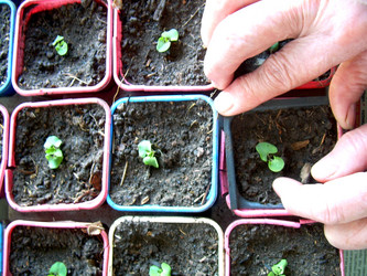 Similar image 21873056