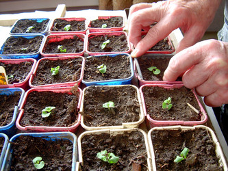 Similar image 21873057