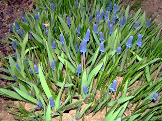 Similar image 21873062