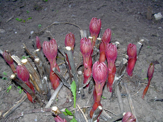 Similar image 21873063