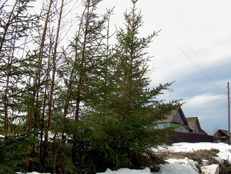 Similar image 21873064