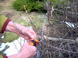 Similar image 21873065