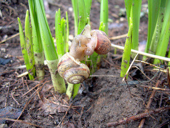 Similar image 21873066