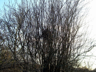 Similar image 21873067