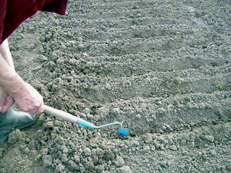 Similar image 21873068