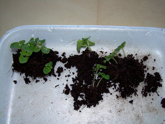 Similar image 21873069