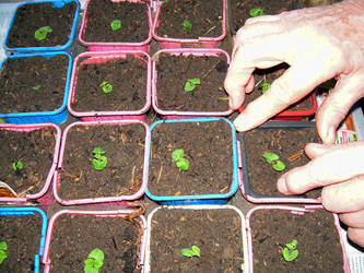 Similar image 21873070