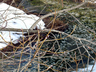 Similar image 21873072