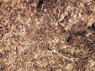 Similar image 21873172