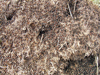 Similar image 21873173