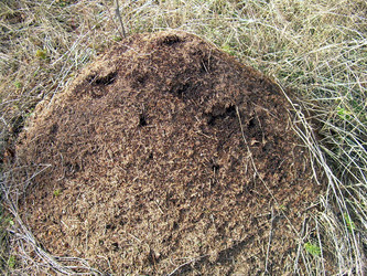 Similar image 21873174