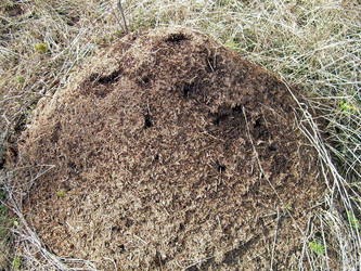 Similar image 21873175