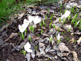 Similar image 21873176