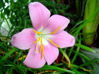 Similar image 21873177