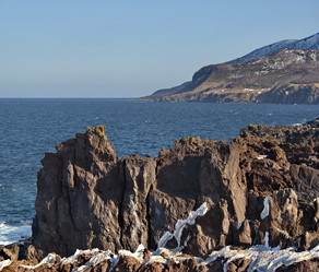 Similar image 21865475