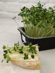 Similar image 21858206