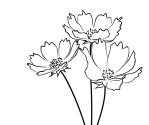 Similar image 21867245