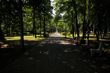 Similar image 21858471