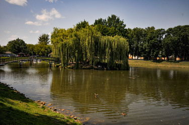 Similar image 21858474