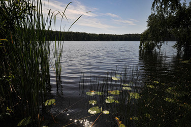 Similar image 21858506