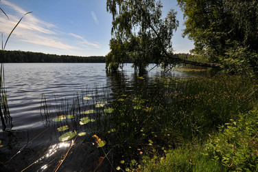 Similar image 21858507