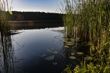 Similar image 21858508