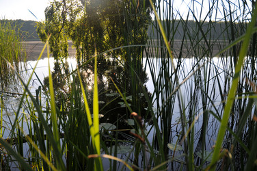 Similar image 21858511