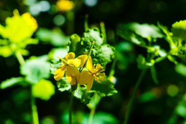 Similar image 21868351