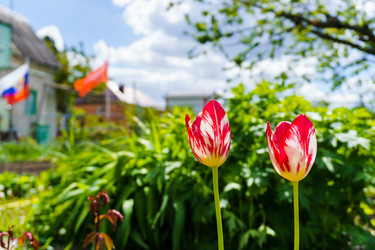 Similar image 21871785