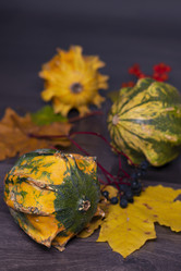 Similar image 21874300