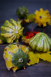 Similar image 21874301