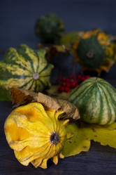 Similar image 21857330