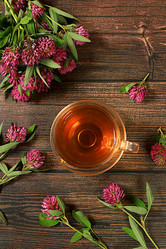 Similar image 21865482