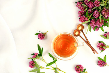 Similar image 21858838