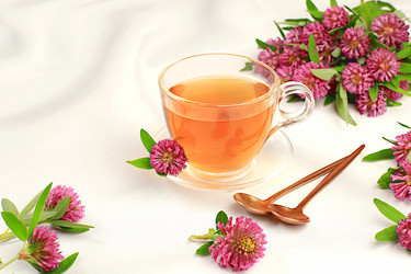 Similar image 21858839