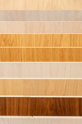 Similar image 21858527