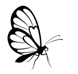 Similar image 21867281