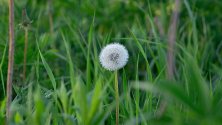 Similar image 21857481