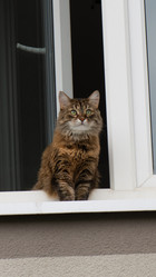 Similar image 21857489